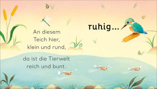 Produktbild: Eine kleine Welt im Teich