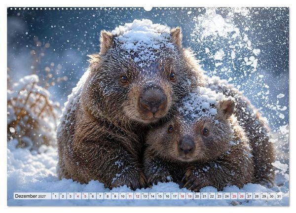 Produktbild: Niedliche Wombats - Australiens flauschige Beuteltiere zum Verlieben (hochwertiger Premium Wandkalender 2027 DIN A2 quer), Kunstdruck in Hochglanz