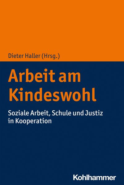 Produktbild: Arbeit am Kindeswohl