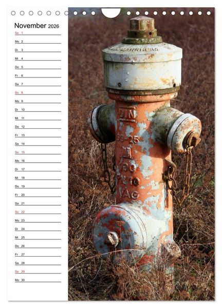 Produktbild: Nostalgie Hydranten (Wandkalender 2026 DIN A4 hoch), CALVENDO Monatskalender
