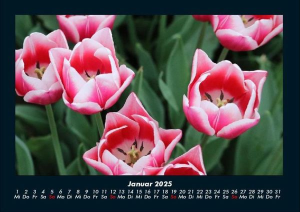 Produktbild: Natur 2025 Fotokalender DIN A4