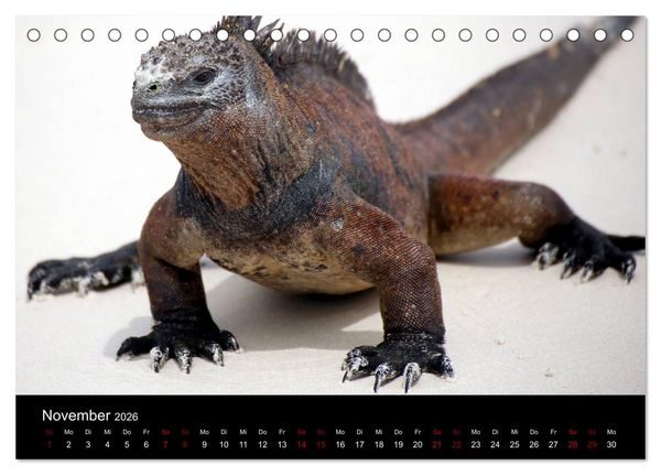 Produktbild: Ama la Vida Ecuador (Tischkalender 2026 DIN A5 quer), CALVENDO Monatskalender