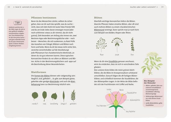 Produktbild: Dein Projekt. Dein Guide. Heilpflanzen kennen, sammeln, verarbeiten