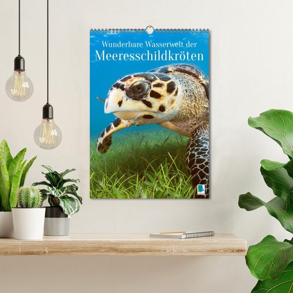 Produktbild: Wunderbare Wasserwelt der Meeresschildkr&ouml;ten (Wandkalender 2026 DIN A3 hoch), CALVENDO Monatskalender