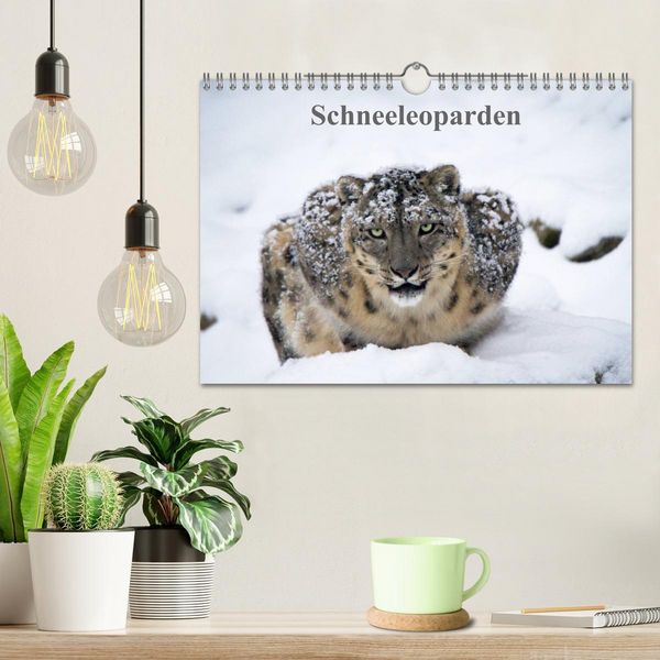 Produktbild: Schneeleoparden (Wandkalender 2026 DIN A4 quer), CALVENDO Monatskalender