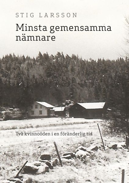 Produktbild: Minsta gemensamma n&auml;mnare