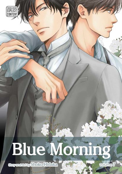 Produktbild: Blue Morning, Vol. 7
