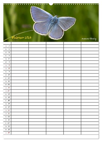 Produktbild: Schmetterlinge in Bayern (hochwertiger Premium Wandkalender 2026 DIN A2 hoch), Kunstdruck in Hochglanz