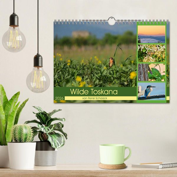 Produktbild: Wilde Toskana - von Ren&eacute; Schaack (Wandkalender 2026 DIN A4 quer), CALVENDO Monatskalender