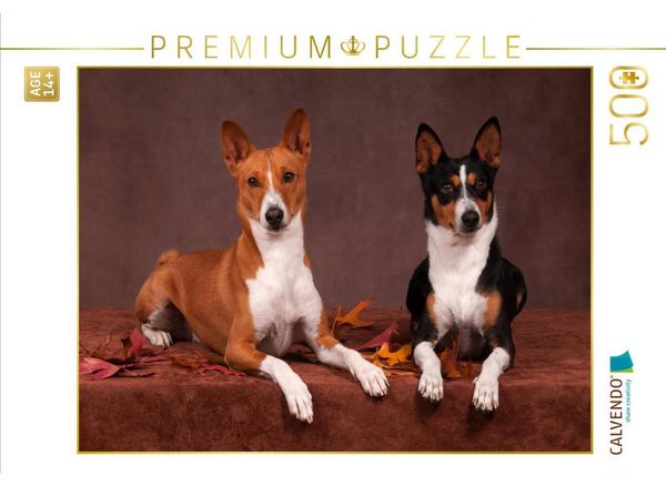 CALVENDO Puzzle Ein Motiv aus dem Kalender Faszinierende Basenjis | 500 Teile Lege-Größe 48 × 36 cm Foto-Puzzle für Erwachsene