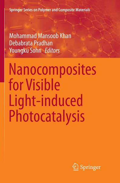 Produktbild: Nanocomposites for Visible Light-induced Photocatalysis