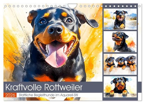 Produktbild: Kraftvolle Rottweiler. Stattliche Begleithunde im Aquarell-Stil (Wandkalender 2026 DIN A4 quer), CALVENDO Monatskalender
