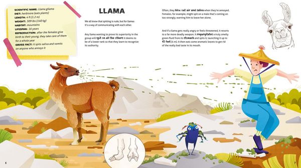 Produktbild: Weird and Wonderful Gross Animals