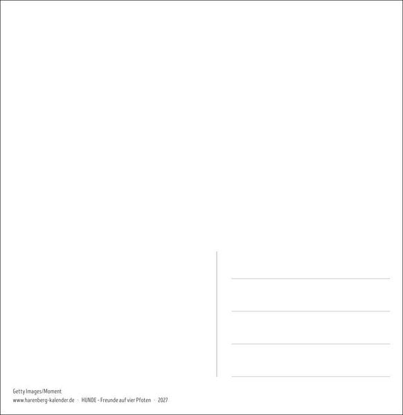 Produktbild: Hunde Premium-Postkartenkalender 2027 - Freunde auf vier Pfoten; Kalender mit 53 Postkarten