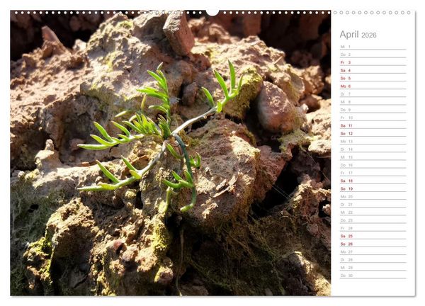 Produktbild: Abstrakte Umwelt (Wandkalender 2026 DIN A2 quer), CALVENDO Monatskalender