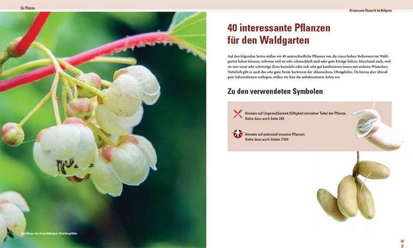 Produktbild: Praxisbuch Waldgarten