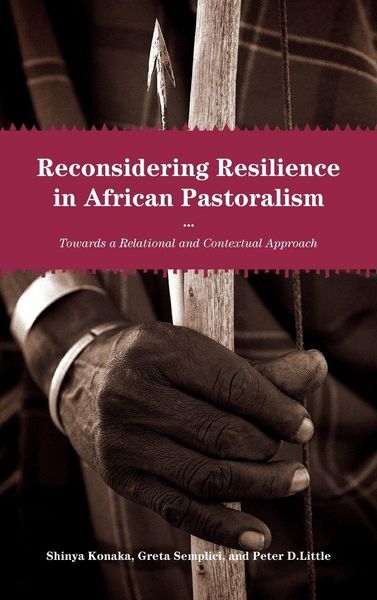 Produktbild: Reconsidering Resilience in African Pastoralism