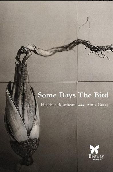 Produktbild: Some Days the Bird