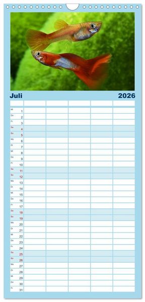 Produktbild: Familienplaner 2026 - Beliebte Fische der Welt mit 5 Spalten (Wandkalender, 21 x 45 cm) CALVENDO