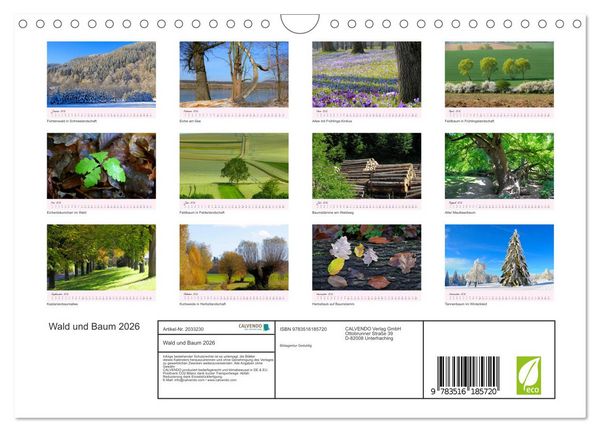 Produktbild: Wald und Baum 2026 (Wandkalender 2026 DIN A4 quer), CALVENDO Monatskalender