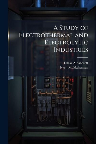 Produktbild: A Study of Electrothermal and Electrolytic Industries