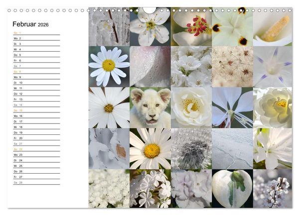 Produktbild: Farbenkaleidoskop (Wandkalender 2026 DIN A3 quer), CALVENDO Monatskalender