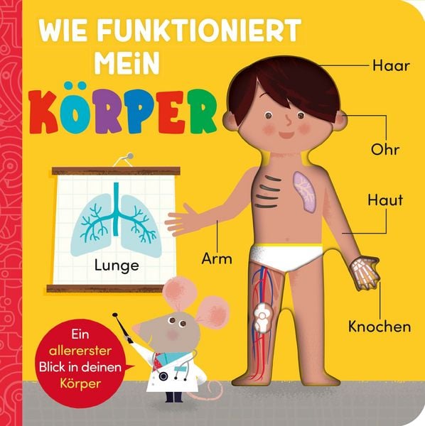 Produktbild: Wie funktioniert mein K&ouml;rper