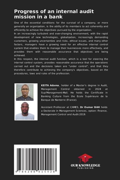 Produktbild: Progress of an internal audit mission in a bank
