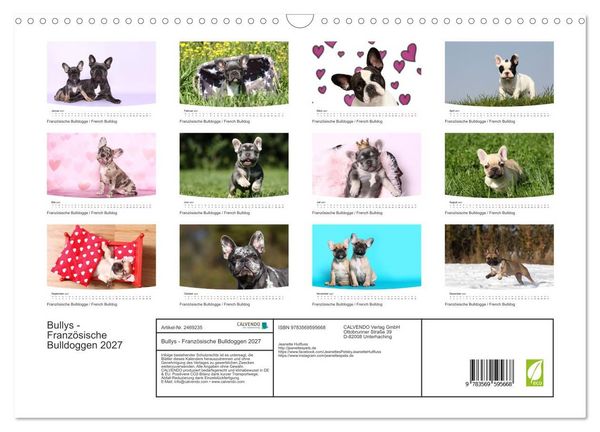 Produktbild: Bullys - Franz&ouml;sische Bulldoggen 2027 (Wandkalender 2027 DIN A3 quer), CALVENDO Monatskalender
