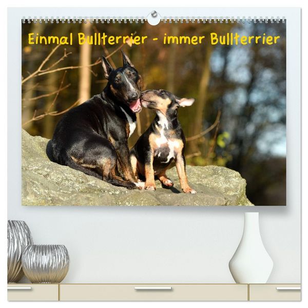 Einmal Bullterrier - immer Bullterrier (hochwertiger Premium Wandkalender 2026 DIN A2 quer), Kunstdruck in Hochglanz