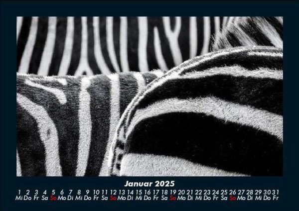 Produktbild: Tierkalender 2025 Fotokalender DIN A5