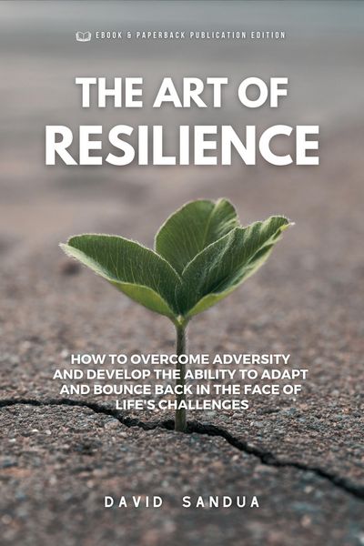 Produktbild: The Art Of ResiIience