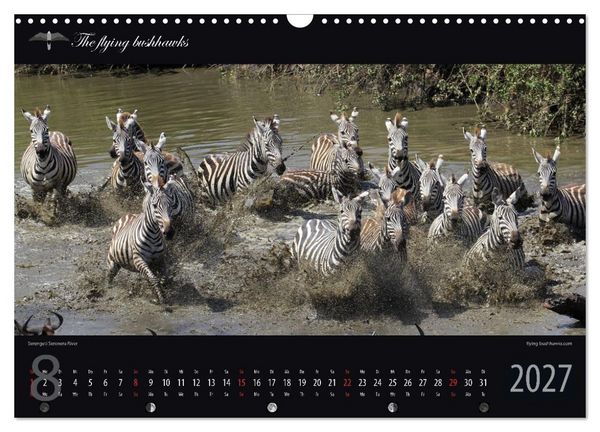 Produktbild: Tansania Blickwinkel 2027 (Wandkalender 2027 DIN A3 quer), CALVENDO Monatskalender