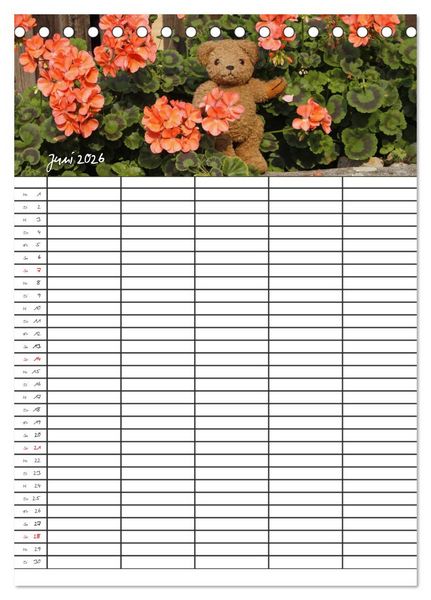 Produktbild: Der Teddyb&auml;ren-Familienplaner (Tischkalender 2026 DIN A5 hoch), CALVENDO Monatskalender
