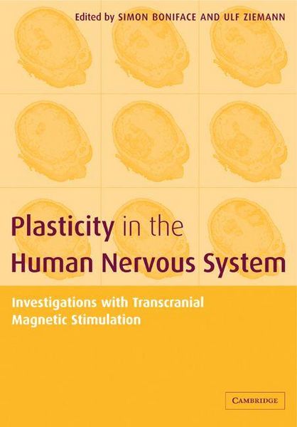 Produktbild: Plasticity in the Human Nervous System