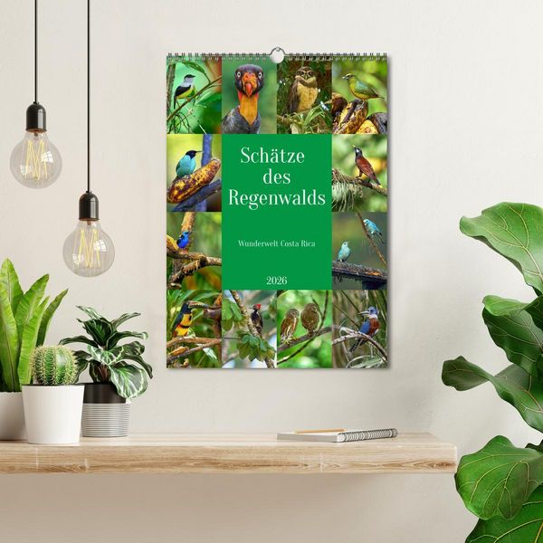 Produktbild: Sch&auml;tze des Regenwalds (Wandkalender 2026 DIN A3 hoch), CALVENDO Monatskalender