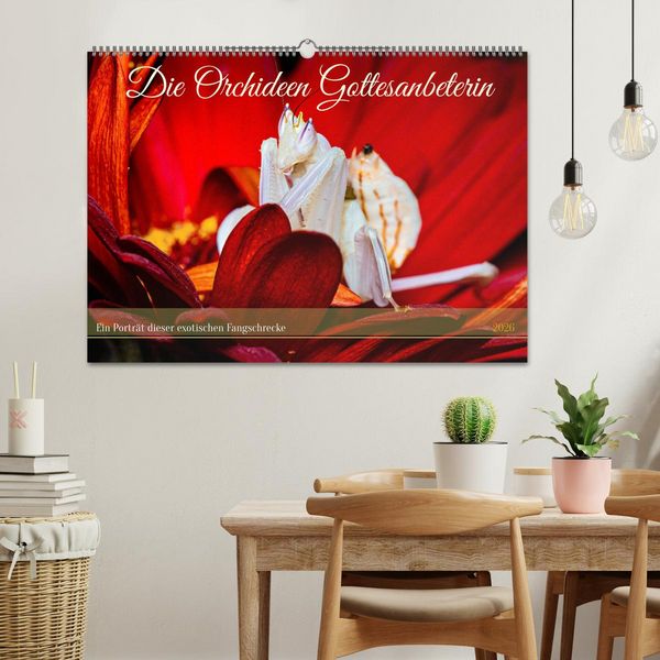Produktbild: Die Orchideen Gottesanbeterin (Wandkalender 2026 DIN A2 quer), CALVENDO Monatskalender