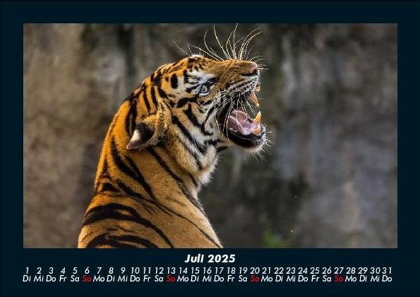Produktbild: Welt der Tiere 2025 Fotokalender DIN A5