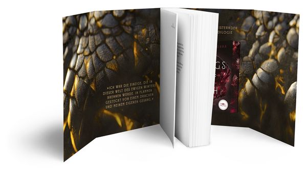 Produktbild: Wings of Ash 1. Schlafende Drachen