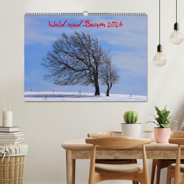 Produktbild: Wald und Baum 2026 (Wandkalender 2026 DIN A2 quer), CALVENDO Monatskalender