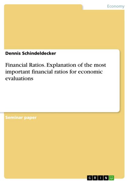 Produktbild: Financial Ratios. Explanation of the most important financial ratios for economic evaluations