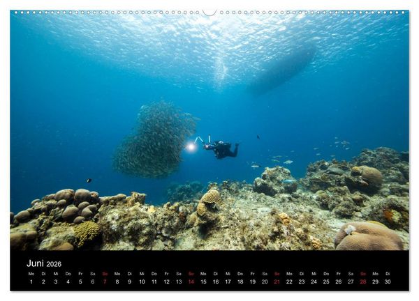Produktbild: Tanz der Fische (hochwertiger Premium Wandkalender 2026 DIN A2 quer), Kunstdruck in Hochglanz