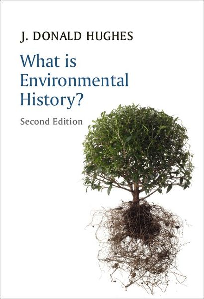 Produktbild: What is Environmental History?