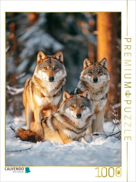 Produktbild: CALVENDO Puzzle In der K&auml;lte der Wildnis w&auml;rmt die N&auml;he des Rudels | 1000 Teile Lege-Gr&ouml;&szlig;e 64x48cm Foto-Puzzle f&uuml;r gl&uuml;ckliche Stunden