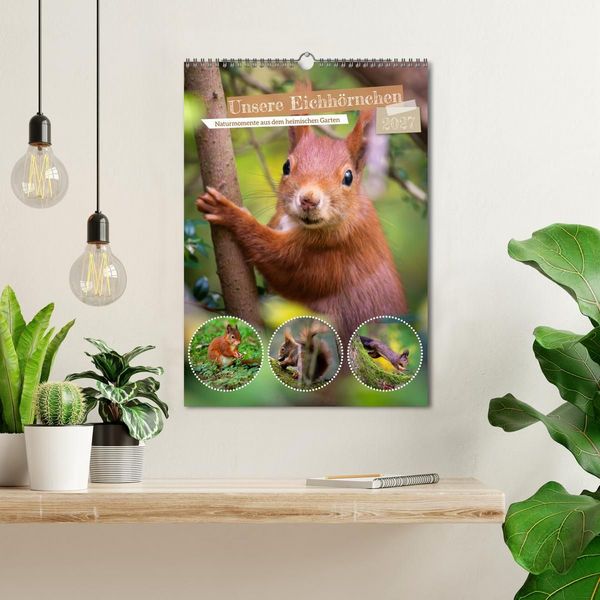 Produktbild: Unsere Eichh&ouml;rnchen - Naturmomente aus dem heimischen Garten (Wandkalender 2027 DIN A3 hoch), CALVENDO Monatskalender