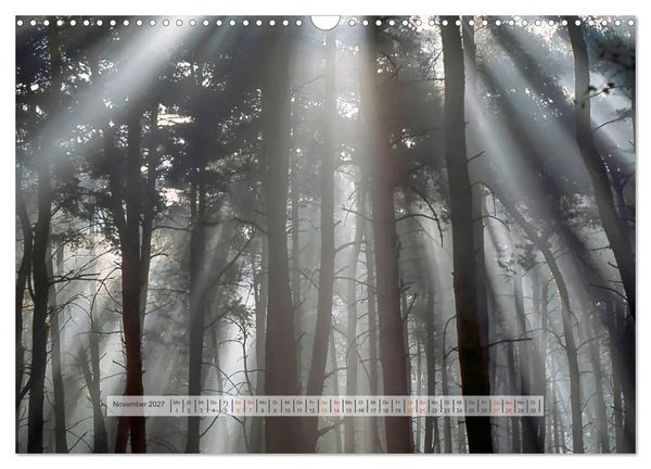 Produktbild: Wald im Bergischen Land 2027 (Wandkalender 2027 DIN A3 quer), CALVENDO Monatskalender