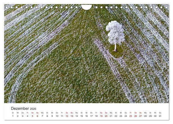 Produktbild: B&auml;ume - Gelebtes Leben (Wandkalender 2026 DIN A4 quer), CALVENDO Monatskalender