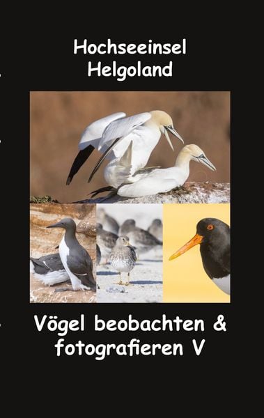Produktbild: Hochseeinsel Helgoland