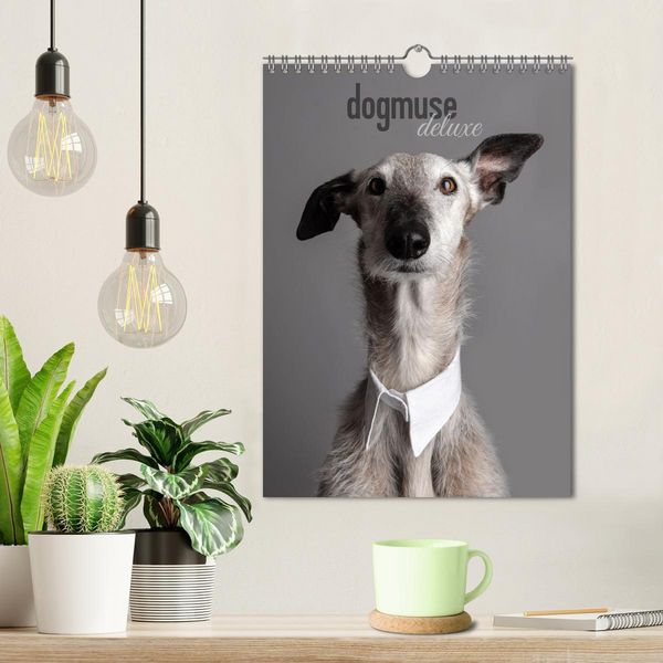 Produktbild: dogmuse deluxe (Wandkalender 2026 DIN A4 hoch), CALVENDO Monatskalender