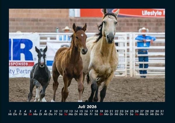 Produktbild: Pferdetraum 2026 Fotokalender DIN A4